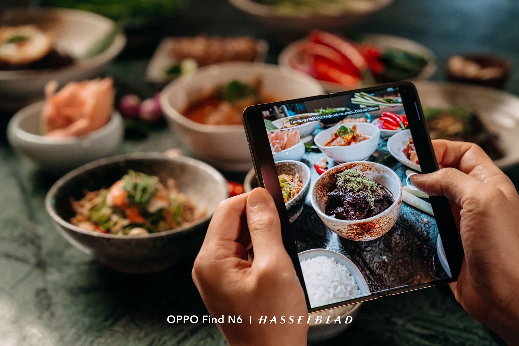 Capturing the details of Peranakan dishes